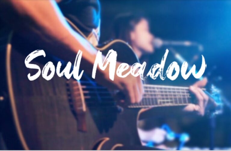 Nahaufnahme von Händen, die eine Gitarre spielen, mit unscharfer Person, die im Hintergrund singt, und weißer Schriftzug Soul Meadow im Vordergrund