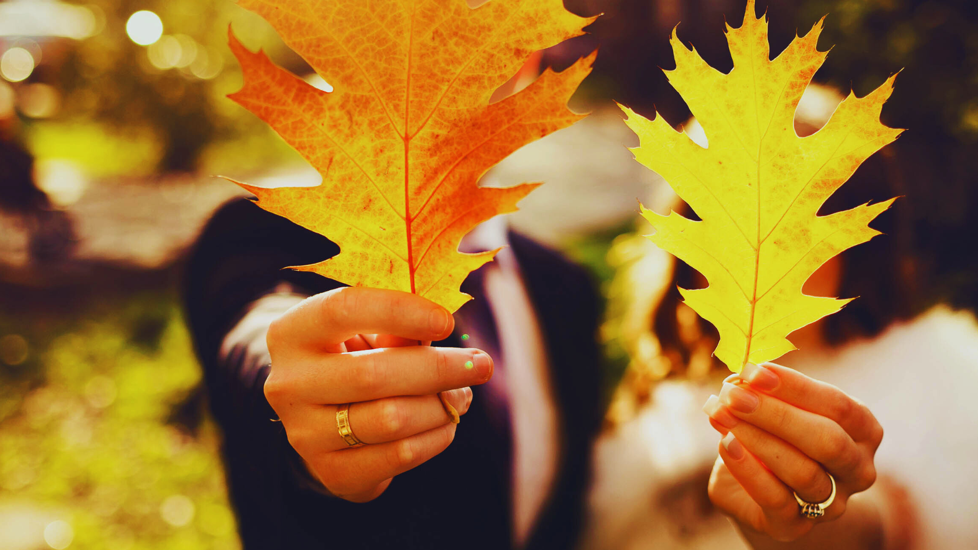 Herbsthochzeit: Zwei Personen halten jeweils ein herbstliches Blatt in die Kamera, ein Blatt ist orange und das andere gelb, Hände und Blätter sind scharf im Fokus, Hintergrund ist verschwommen mit herbstlichen Farben.