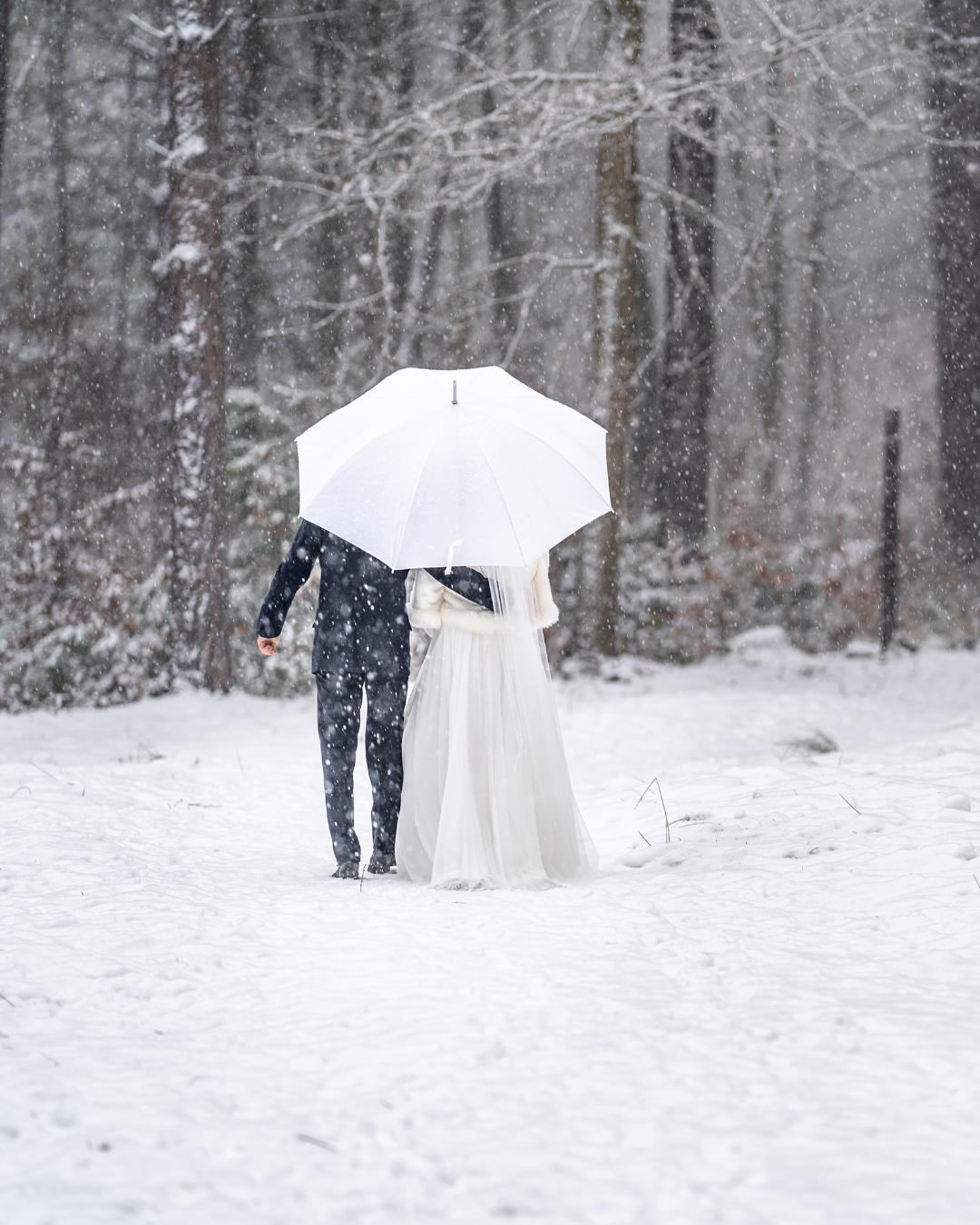 Hochzeitspaar geht unter einem weißen Regenschirm durch verschneiten Wald bei einer Winterhochzeit.