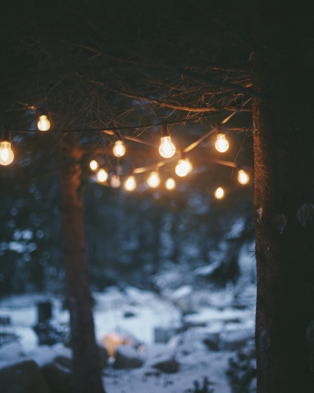 Warme Lichterkette im dunklen Winterwald als stimmungsvolle Beleuchtung für eine Winterhochzeit.